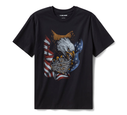 Men's Stars & Stripes Eagle Tee
